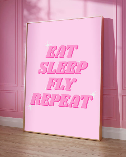 AFFICHE EAT SLEEP FLY REPEAT